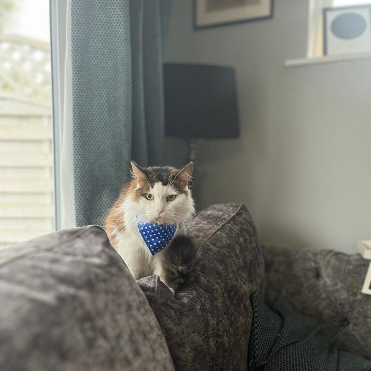 Blue Polka Dot Cat Bandana image 0