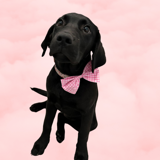 Gingham Dog Bow Tie image 0