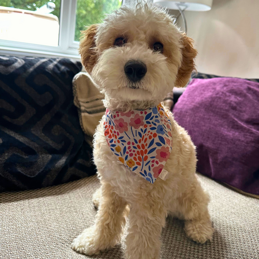 Floral Print Dog Bandana image 0