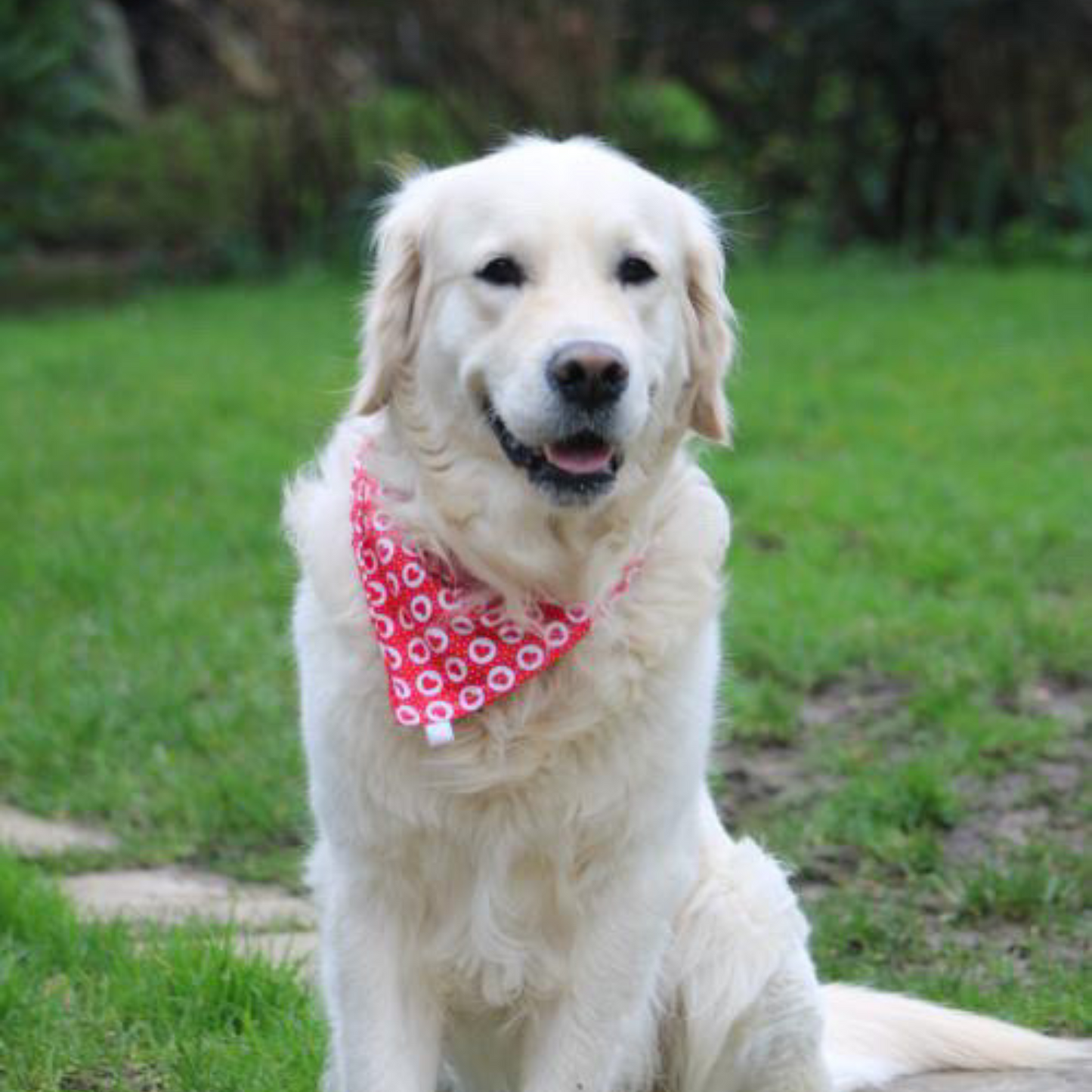 Heart & Polka Dot Scrunchie Bandana image 0