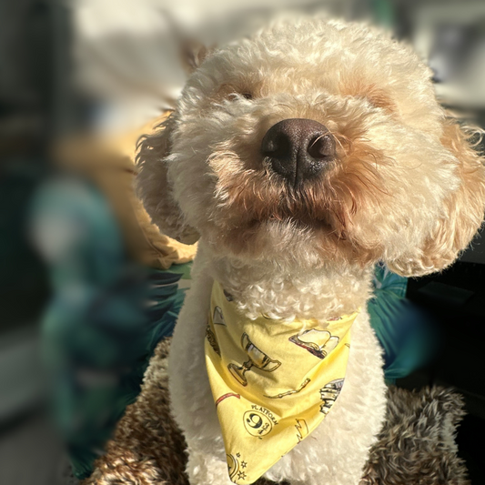 Yellow Harry Potter Dog Bandana image 2