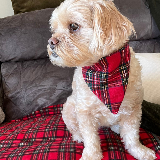 Red Tartan Fleece Dog Blanket image 0