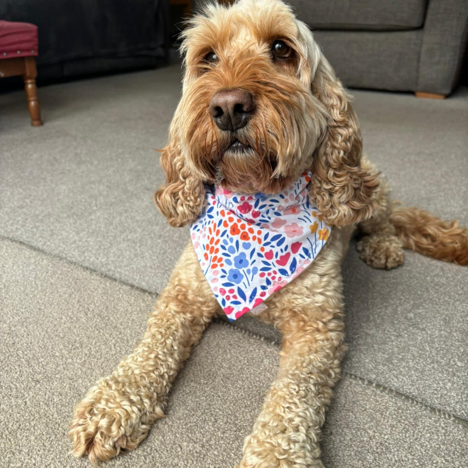 Floral Print Dog Bandana image 2