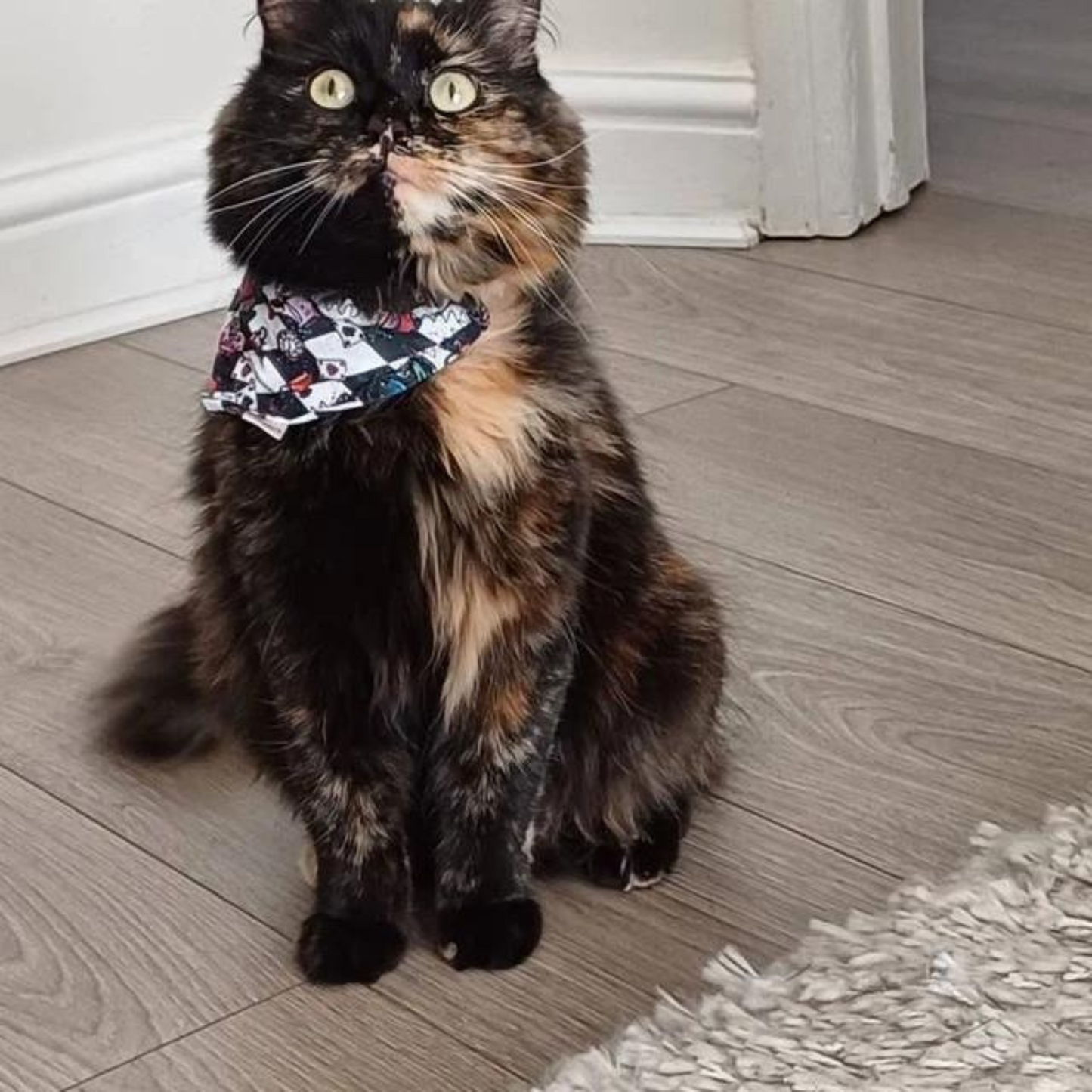 Alice in Wonderland Cat Bandana