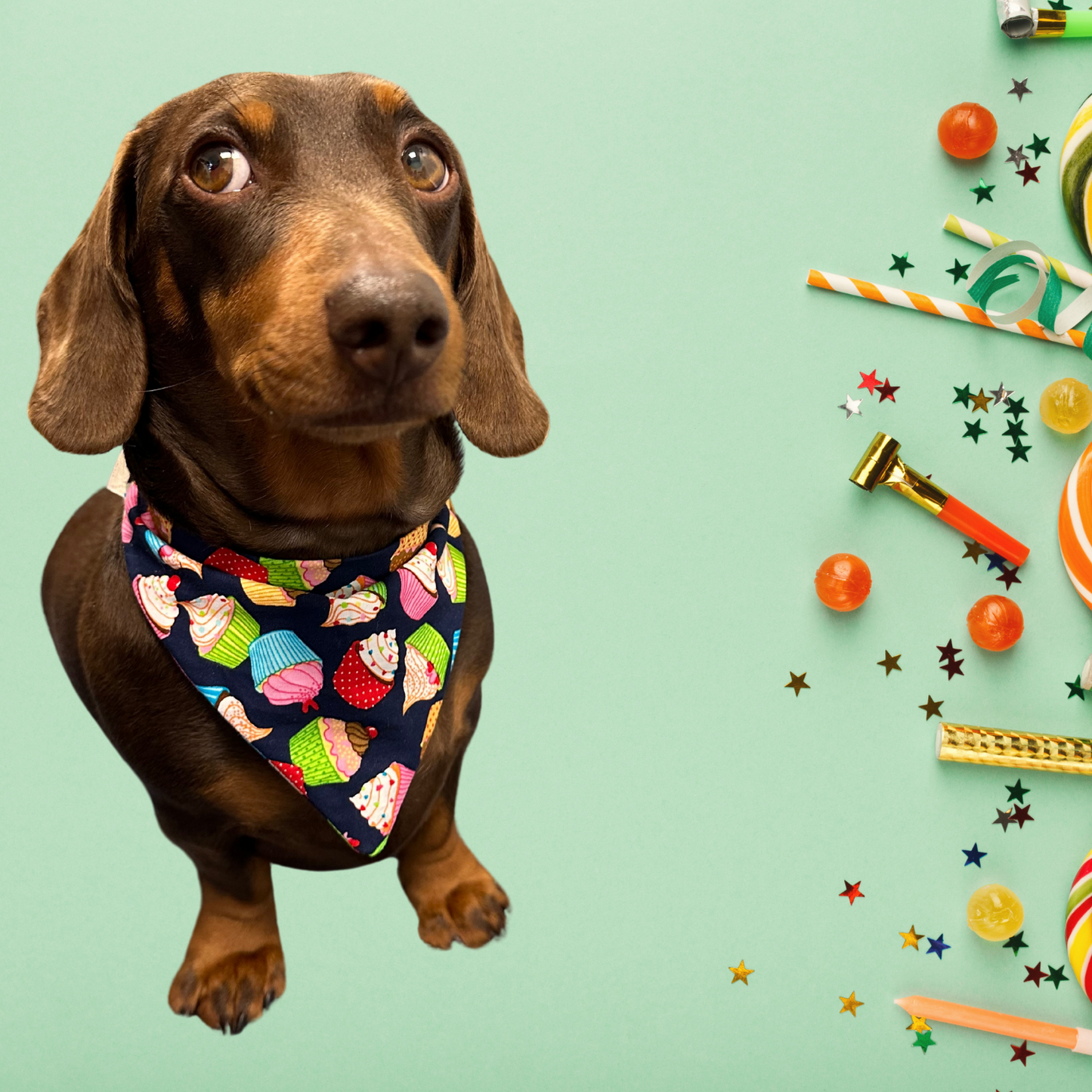 Birthday Cake Dog Bandana