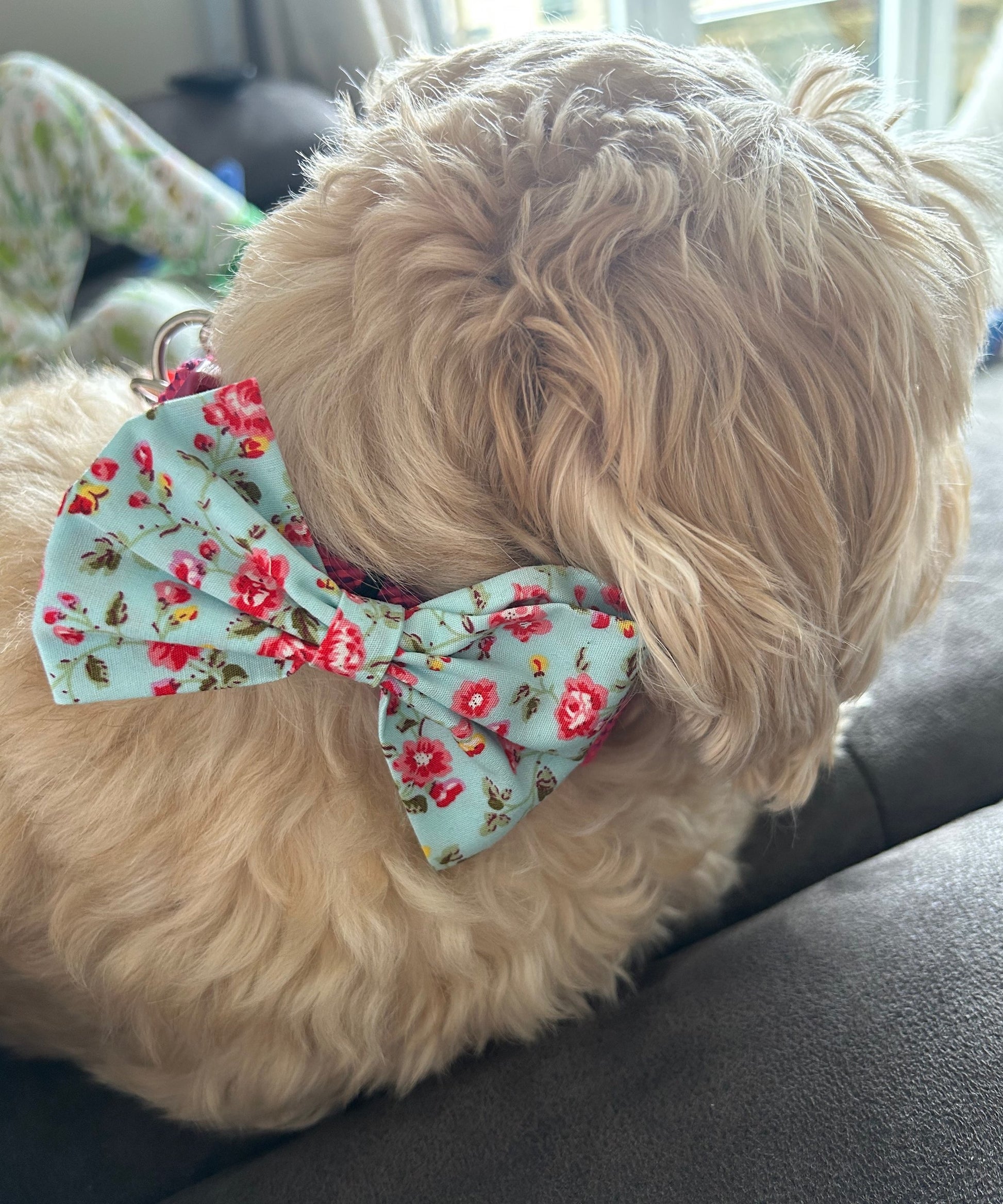 Blue Floral Dog Bow Tie image 0