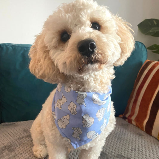 Disney Dog Bandana