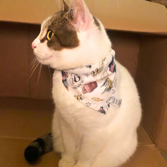 Harry Potter Cat Bandana