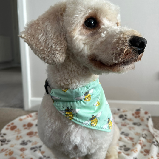 Mint Bee Print Dog Bandana