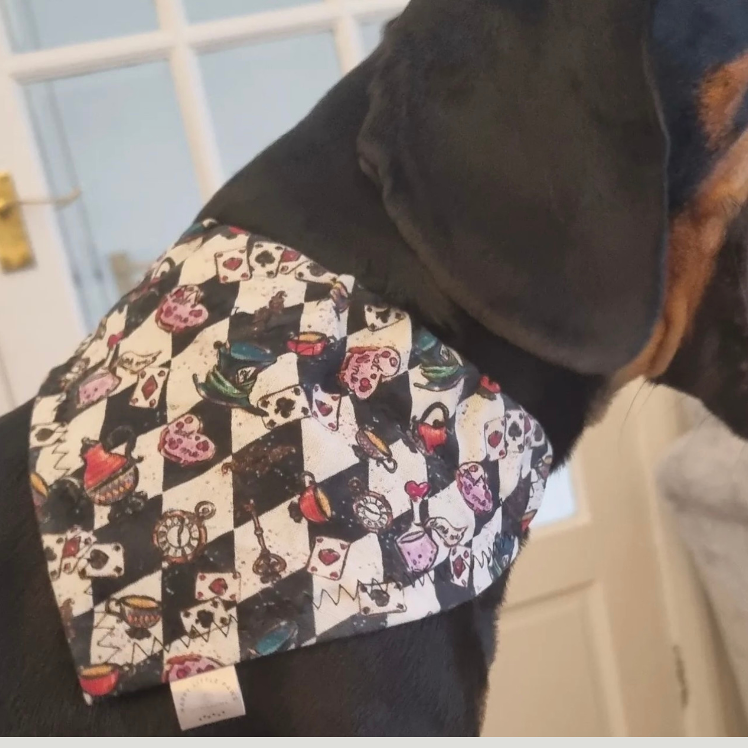 Alice in Wonderland Dog Bandana image 1