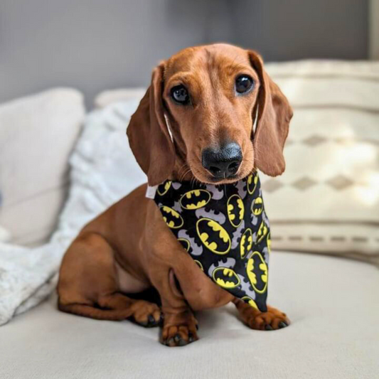 Batman Scrunchie Dog Bandana image 0