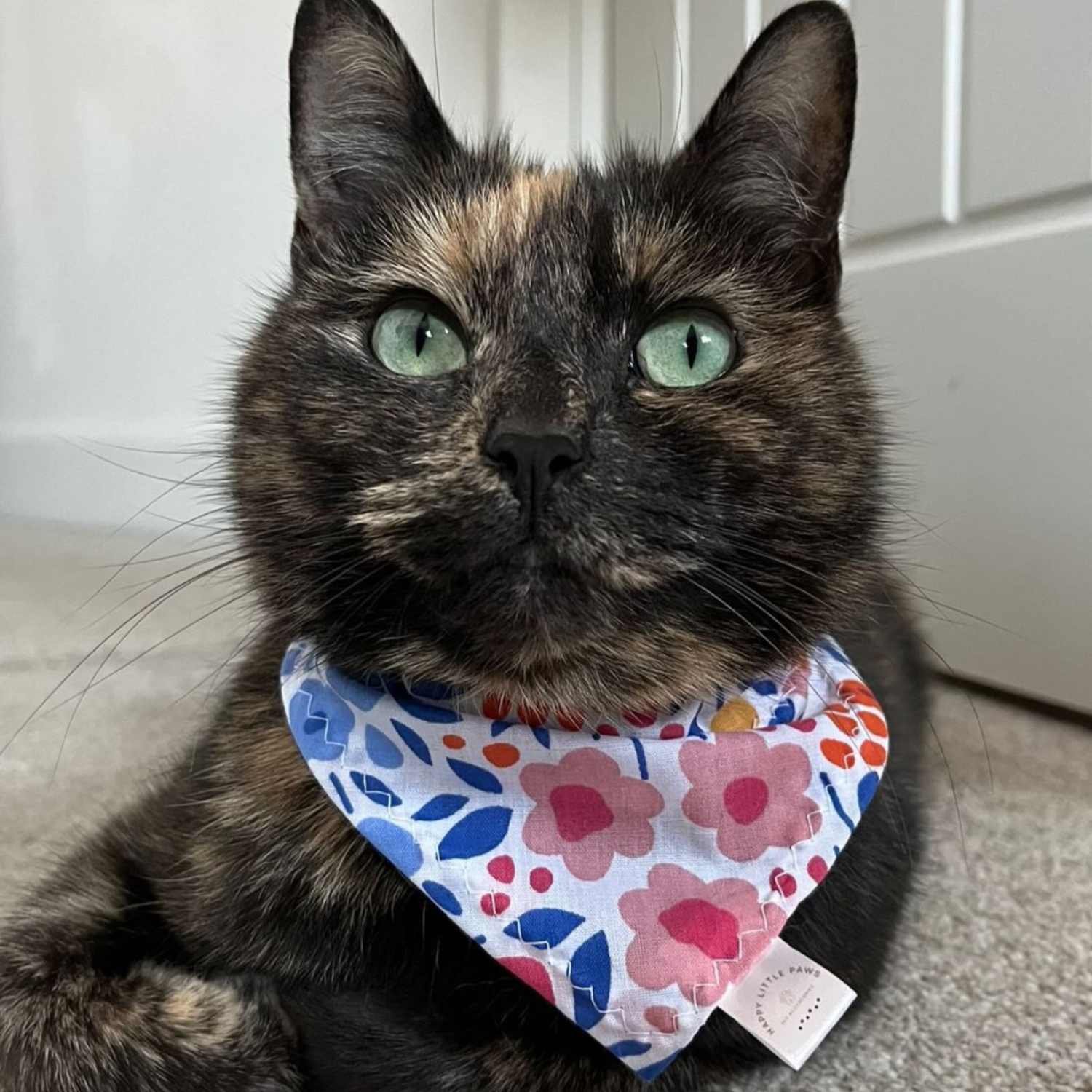 Floral Cat Bandana image 0