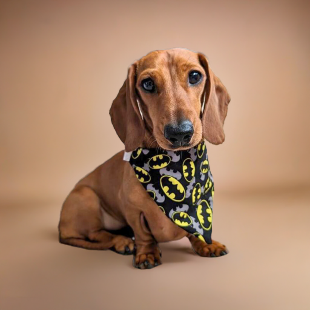 Batman Scrunchie Dog Bandana